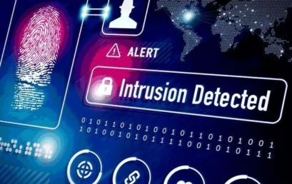 Intrusion Detection System (IDS): The Importance of Network Security