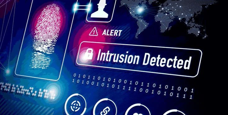 Intrusion Detection System (IDS): The Importance of Network Security